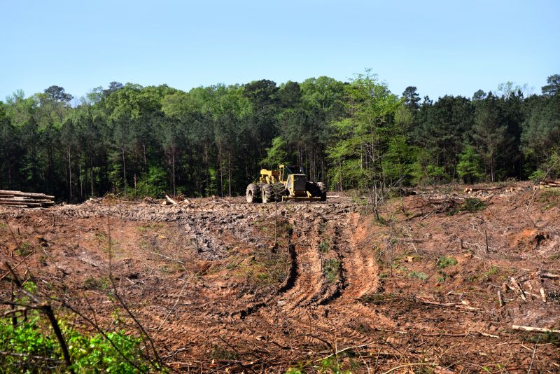 Easement Land Clearing in Marietta, GA