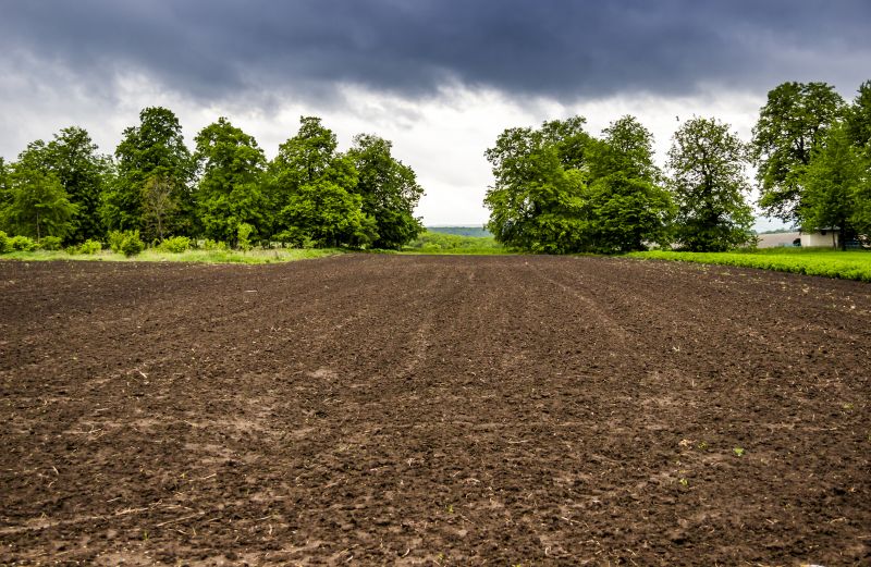Property Line Clearing in Marietta, GA
